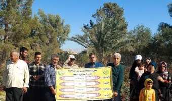 روز مزرعه چای ترش در طرود شاهرود برگزار شد