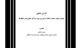 نگارش گزارش تحلیلی با عنوان وضعیت تولید، تجارت، تلفات و دورریز میوه زردآلو: چالش‌ها و راهکارها