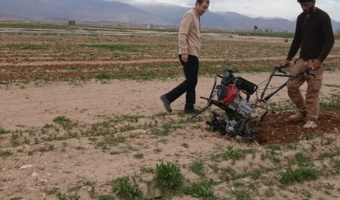 آغاز عملیات نگهداری و مراقبت از نهالستان مرکز تحقیقات کشاورزی و منابع طبیعی شاهرود