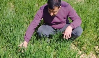 نظارت بر مزارع تولیدکننده بذر در ایستگاه تحقیقات کشاورزی دامغان جهت مقابله با تنش‌های محیطی