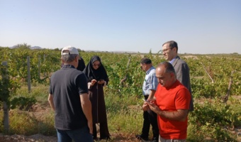 پیگیری عارضه ریزش گل در باغ انگور شاهانی مکی روستای صالح‌آباد شاهرود با مشارکت استادان و محققان