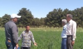 مدیریت بهینه در مصرف آب با ارتقای روشهای آبیاری