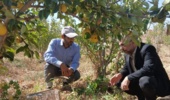 بازدید از باغات و مزارع و بررسی میزان آلودگی به جوندگان در شهرستان شاهرود