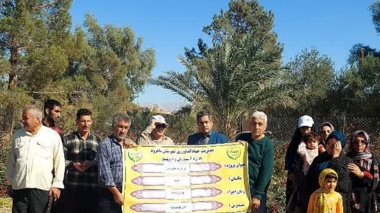 روز مزرعه چای ترش در طرود شاهرود برگزار شد